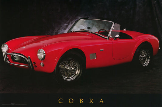 TRANSPORTATION - COBRA -- POSTER FW2H