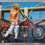 DREAMS- IRON AND LACE 93' CAL POSTER LW7M