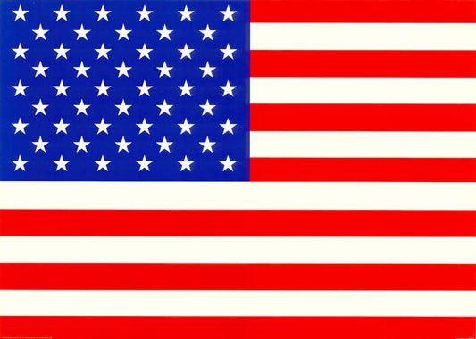 US FLAG - POSTER LW21K