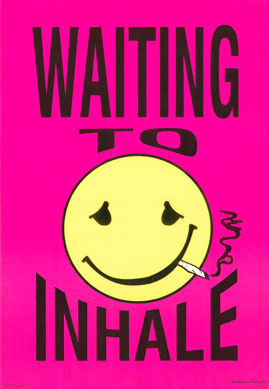 WAITING TO INHALE - POSTER RC6P
