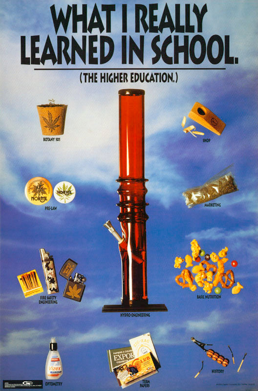 WHAT I REALLY LEARNED IN SCHOOL - POSTER RW3D