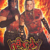 HARDY BOYZ POSTER