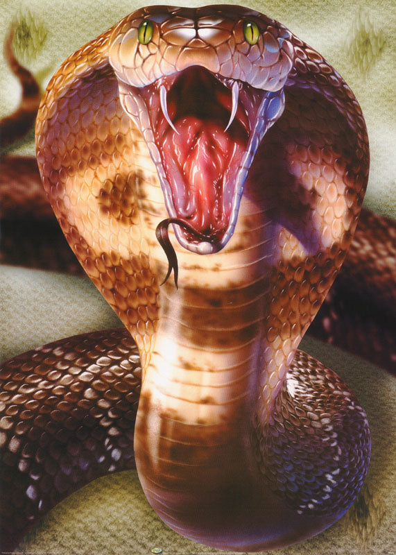 cobra - POSTER LW30V