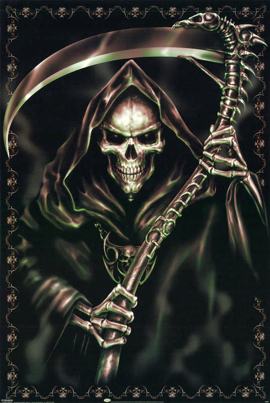 grim reaper-scythe & skull border - POSTER LW8G
