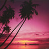 sailboat in sunset -- POSTER RW19F-L