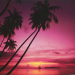 sailboat in sunset -- POSTER RW19F-L