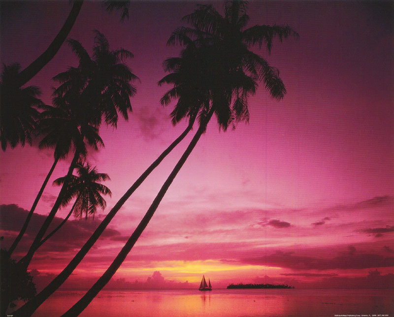 sailboat in sunset -- POSTER RW19F-L