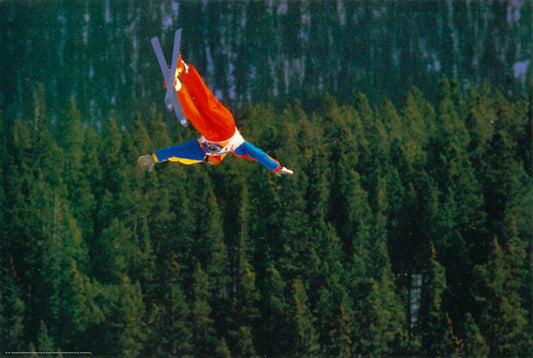skier above the trees - POSTER LW16K