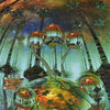 unknown - POSTER LW17P