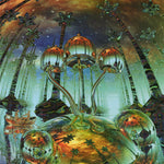 unknown - POSTER LW17P